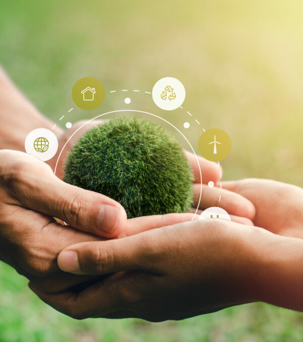 The world is in the hands of helping each other. in the concept of environmental conservation environmental protection Elements Of This Image Decoration Environmental Icons